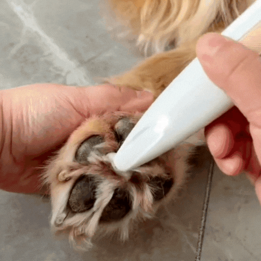 PawPerfect™ Pfotenpflegegerät für Haustiere